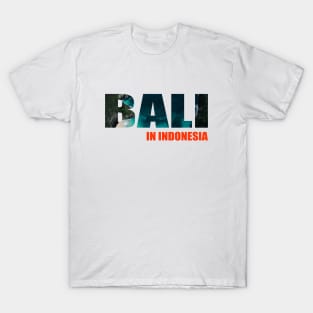 BALI IN INDONESIA T-Shirt